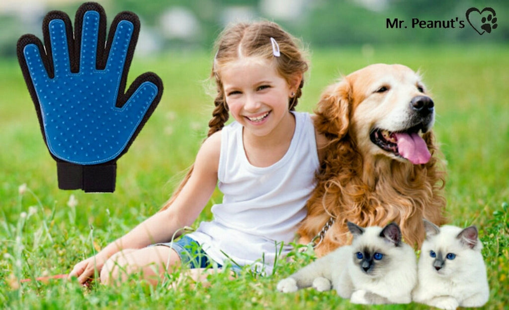 Silicone Pet Grooming Gloves (2 Pack)