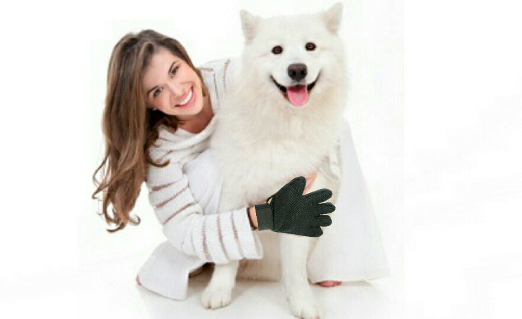 Silicone Pet Grooming Gloves (2 Pack)